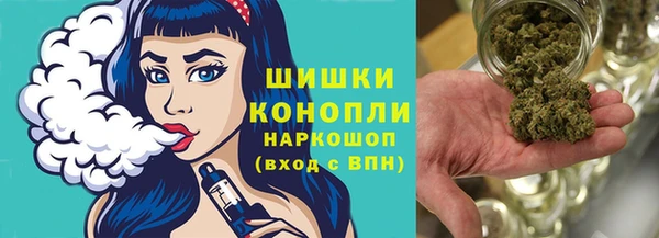 соль ск Вяземский