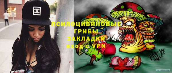 соль ск Вяземский