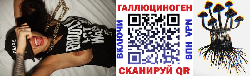 Псилоцибиновые грибы Psilocybe Тында